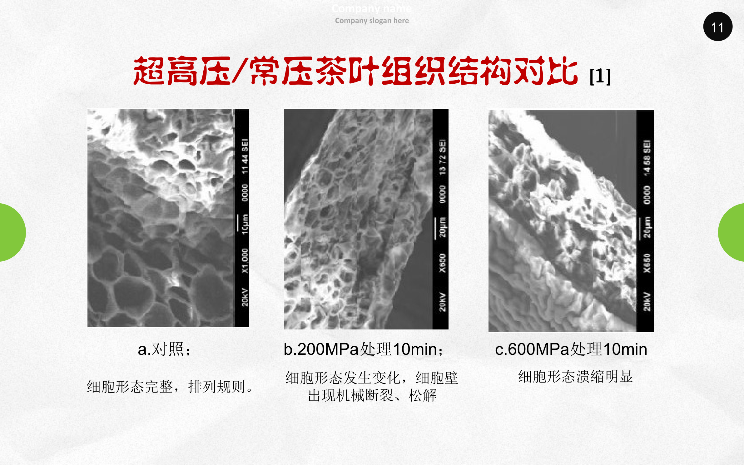 贾培起 总经理_11.png