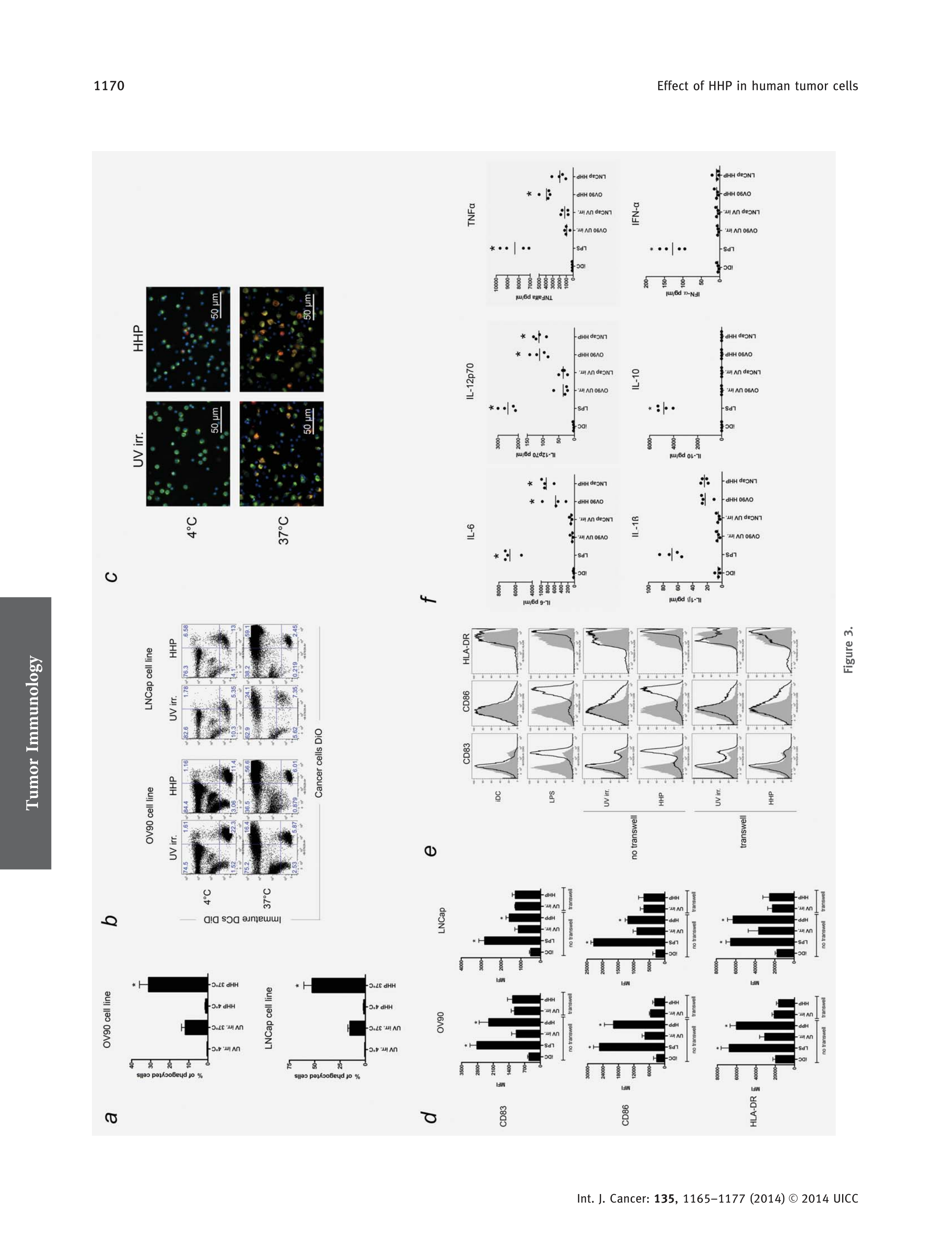 8 High hydrostatic pressure induces immunogenic_6.png