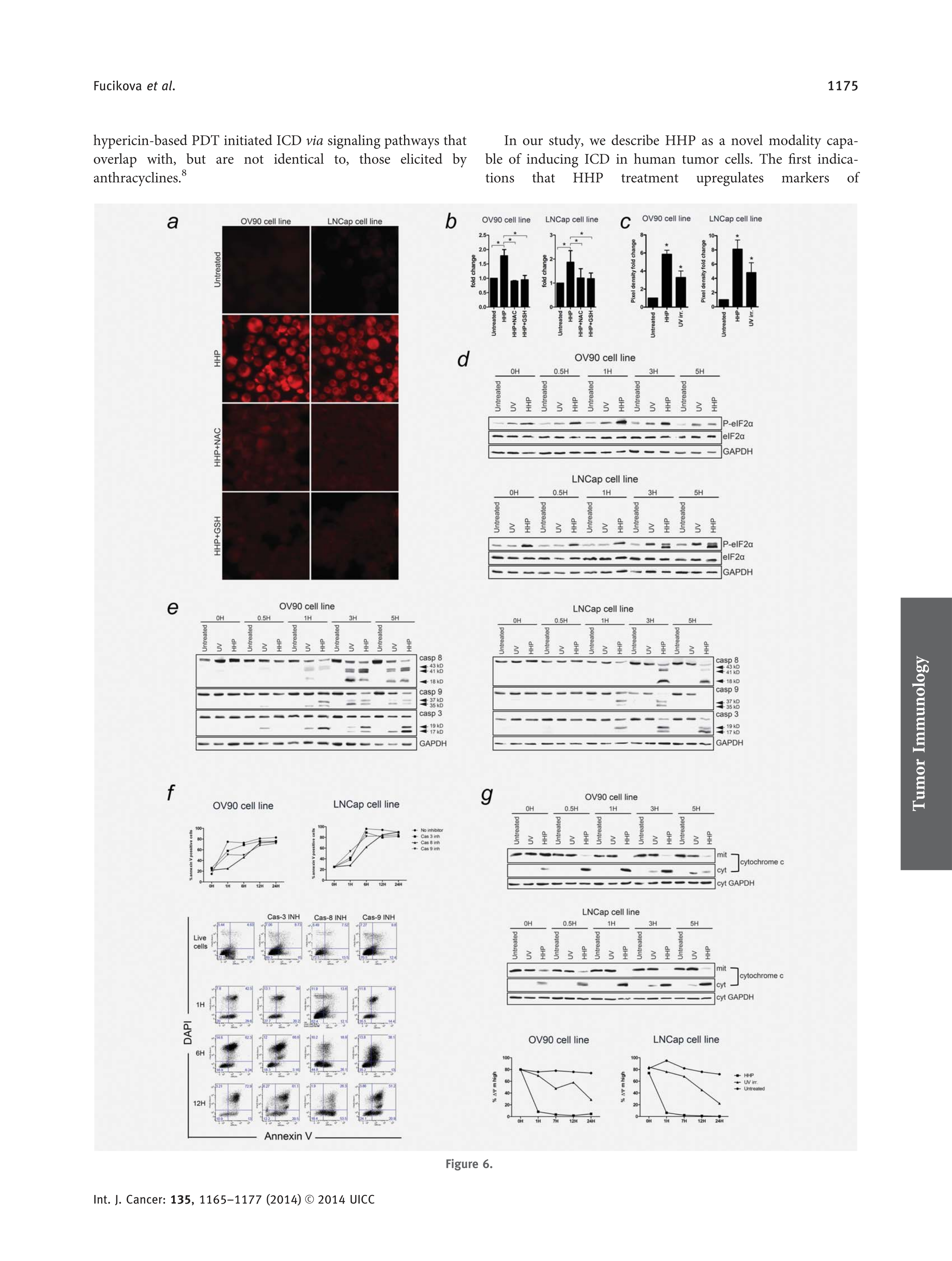 8 High hydrostatic pressure induces immunogenic_11.png